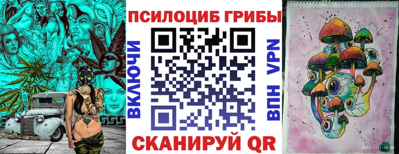 OMG маркетплейс  закладки  Северск  Псилоцибиновые грибы Cubensis 